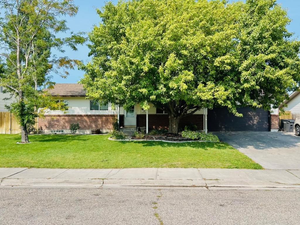 Foto principal - 1728 Olympia St