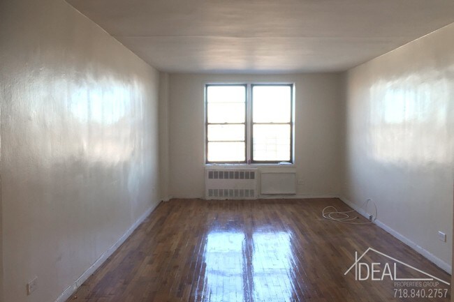 Building Photo - Newly Renovated Studio !!!