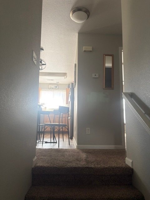 Foto del edificio - 3600 Ponderosa Ct