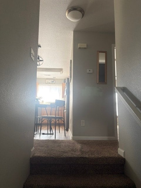 Building Photo - 3600 Ponderosa Ct