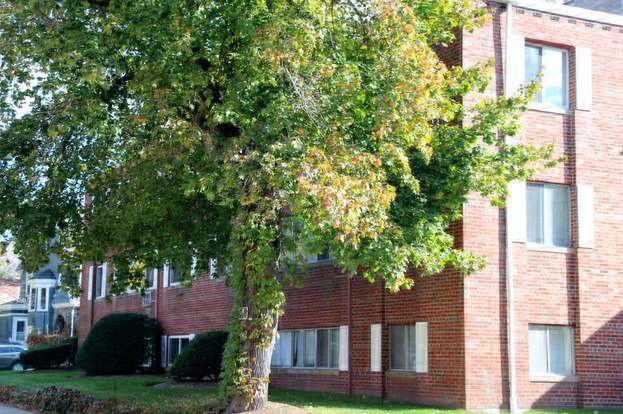 Foto del edificio - 8 Wesley St