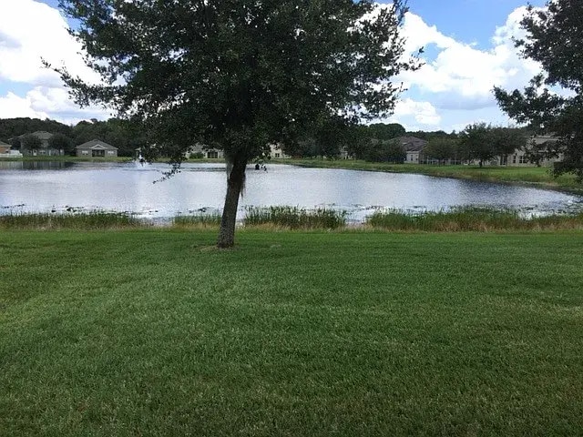 Building Photo - 415 Fern Lake Dr