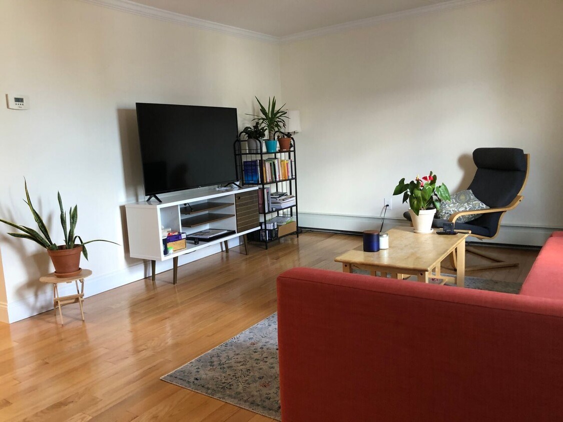 Primary Photo - Gorgeous 2 bed 1 bath in Allston