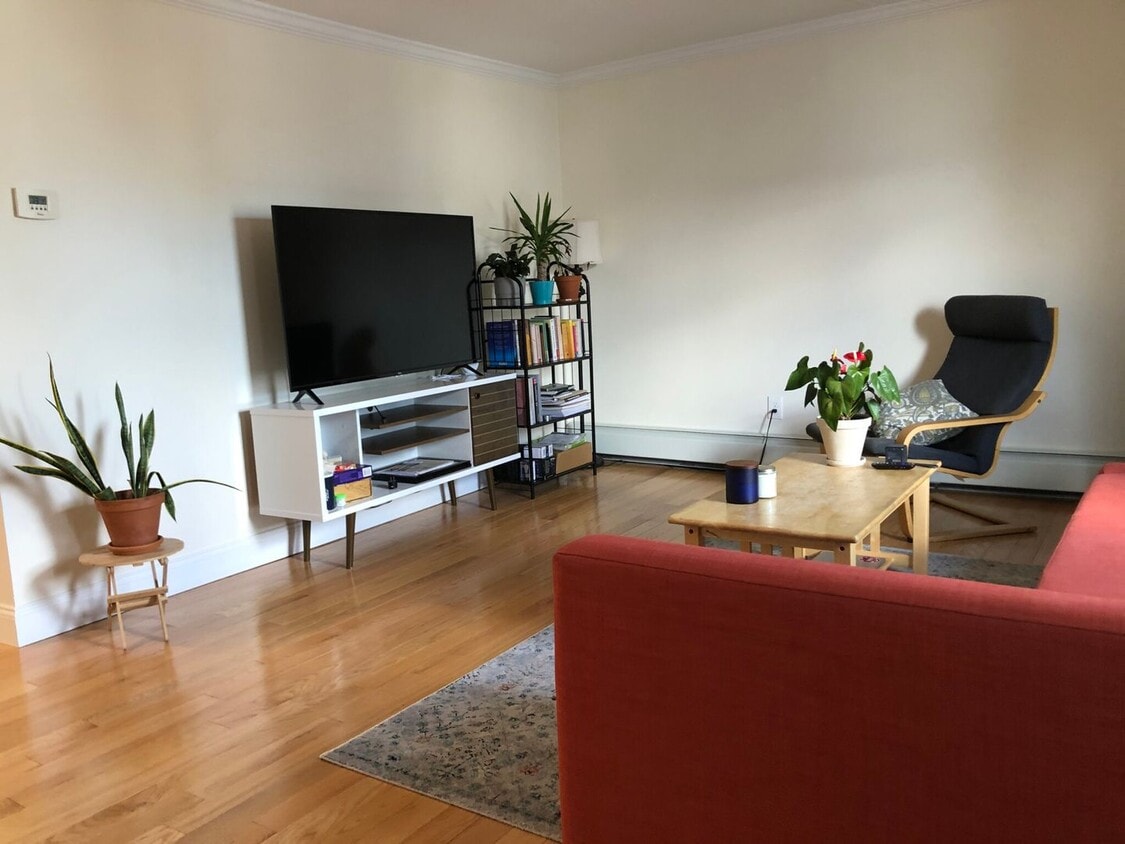 Gorgeous 2 bed 1 bath in Allston - Gorgeous 2 bed 1 bath in Allston