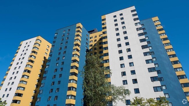 Belltown Apartments For Rent Seattle Wa