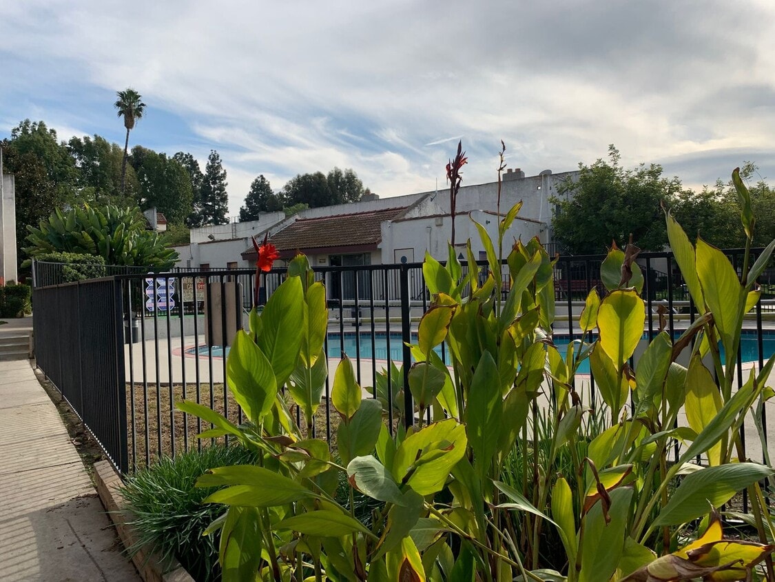 Primary Photo - Spacious 1Bedroom/ 1 Bath Unit