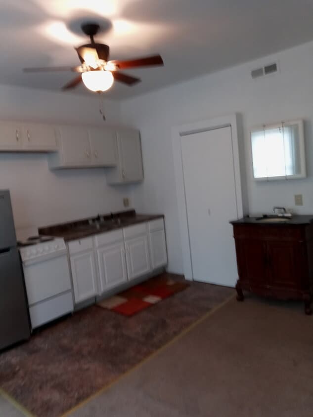 2029 N Pennsylvania St Unit Apt E, Indianapolis, IN 46202 Apartments