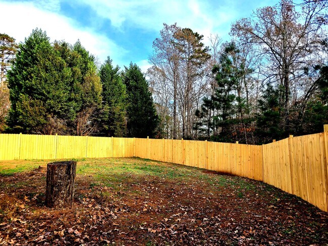 Fully fenced-in back yard with private gate. - 113 Tall Willow Dr