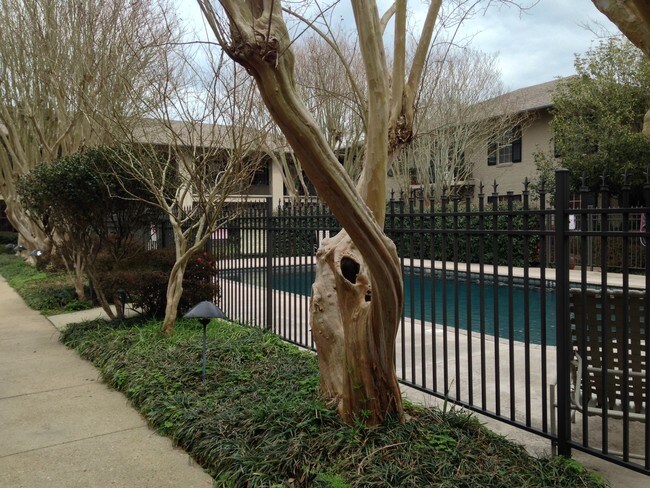 Proximity to Pool from Unit 115 - 213 Bendel Rd