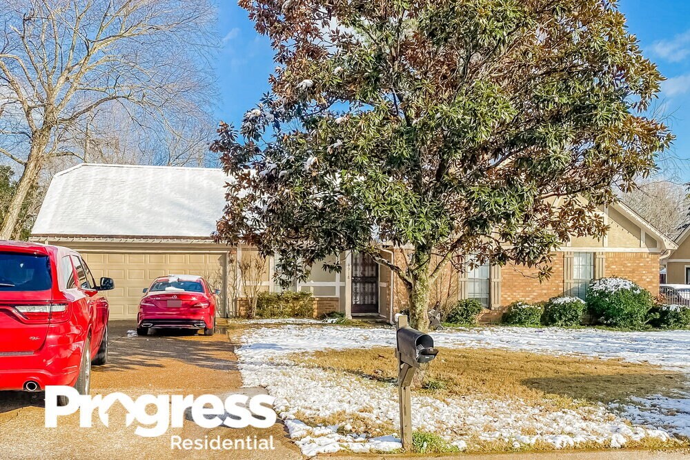 3918 Birchmeadow Cove, Memphis, TN 38115 House Rental in Memphis, TN