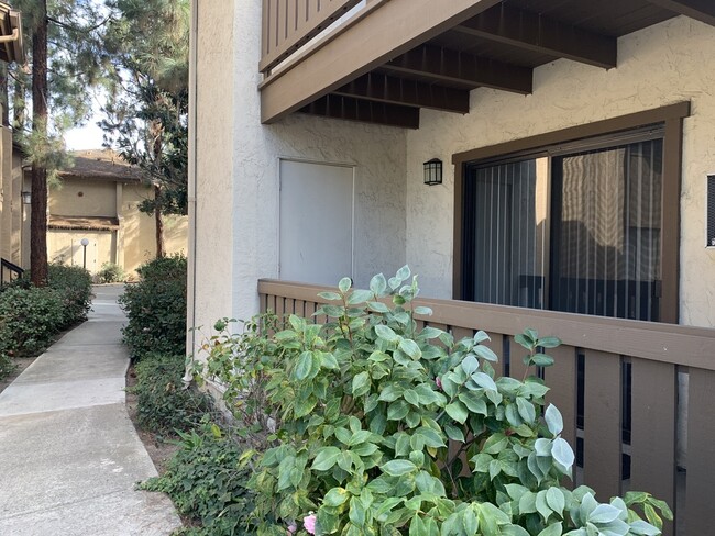 Building Photo - 10214 Black Mountain Rd