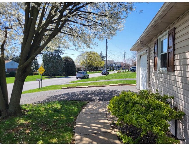 Building Photo - 821 Walnut St
