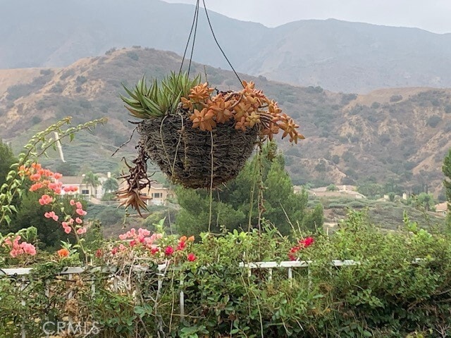 Building Photo - 3350 Deaver Dr