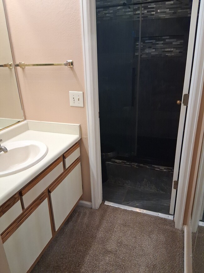Master bedroom bathroom - 1089 S Walden Way