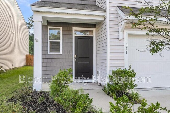 Building Photo - 641 Silver Spruce St