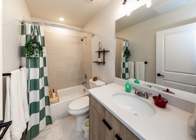 Interior Photo - Dear Madison