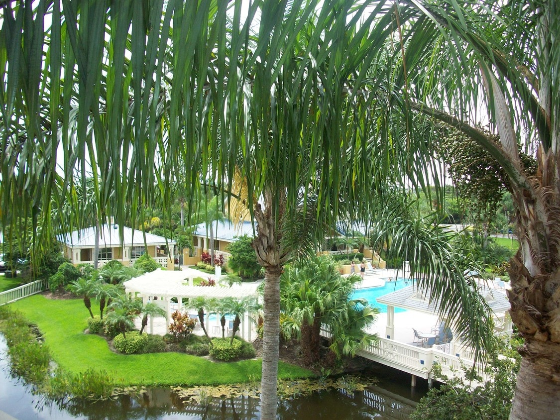 Bridgewater Apartments in Saint Petersburg, FL