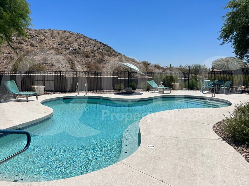 Primary Photo - 3236 East Chandler Boulevard