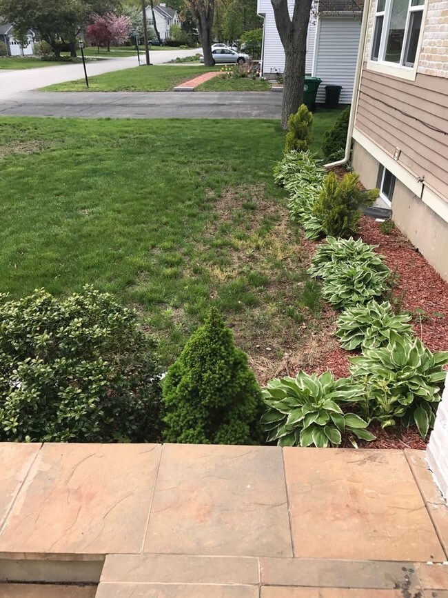 117 Pond Plain Rd, Westwood, MA 02090 House Rental in Westwood, MA