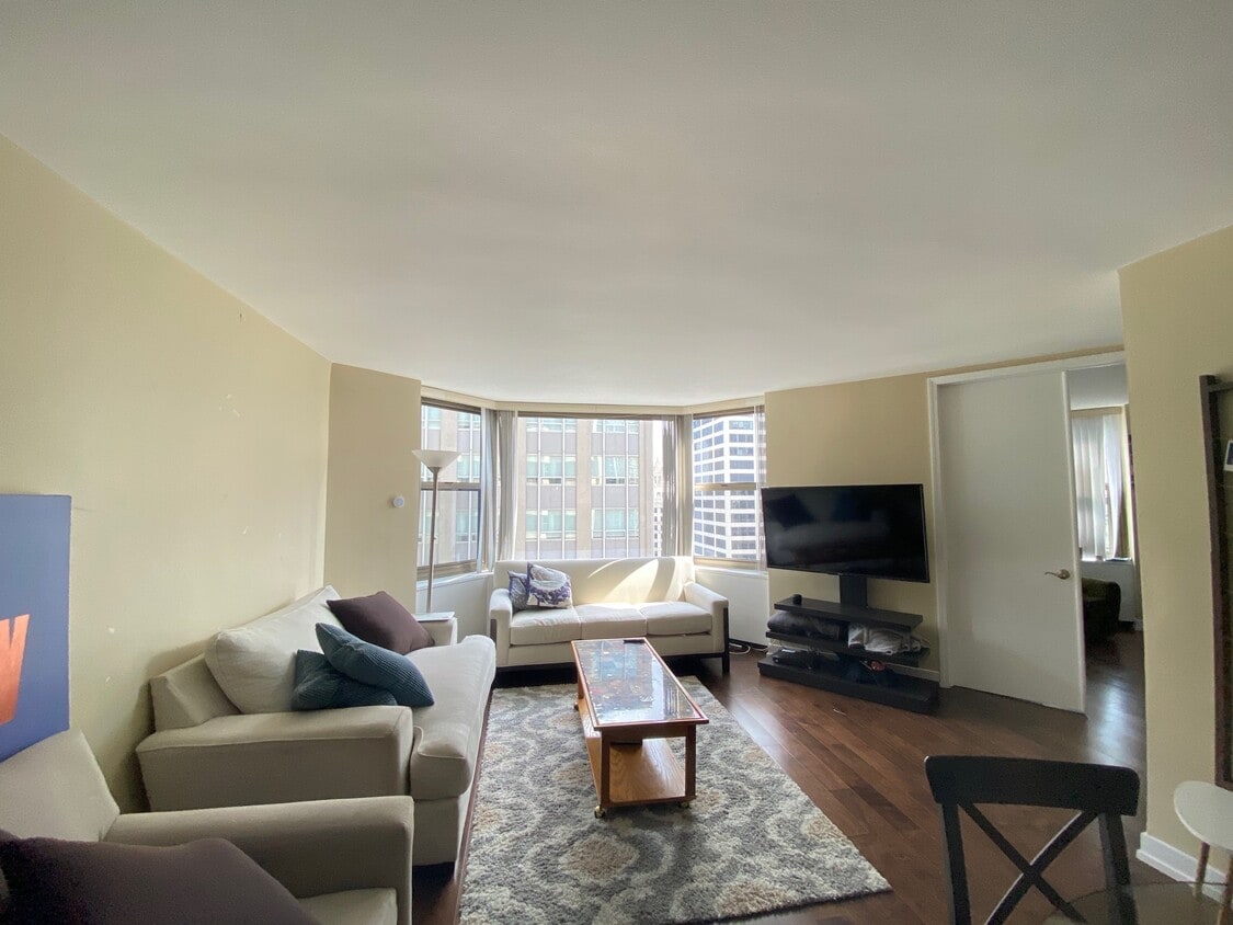 Living Room - 535 N Michigan Ave