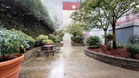 This outdoor courtyard offers a well-designed communal gathering space framed by the surrounding multi-story buildings. The ground-level patio features a broad expanse of concrete that provides ample open space for movement and activity. Curved, raised garden beds constructed from stacked stone retaining walls serve as the courtyard's defining architectural element, creating structured planting areas throughout the space. These beds are filled with a diverse mix of mature shrubs, ornamental grasses, hydrangeas, conifers, and ground cover plants, contributing to a lush, layered landscape. Several large terracotta planters are positioned across the patio, adding additional greenery and visual interest. Mature deciduous and evergreen trees rise above the planting beds, providing natural canopy coverage. A metal picnic table offers a dedicated outdoor seating area, ideal for casual gatherings. A red metal staircase with a handrail connects the courtyard level to an upper floor of an adjacent building, providing functional access while adding an industrial accent to the setting. A small utility structure with a window is also present along one edge of the space. The overall ambiance is green and serene, with the dense plantings creating a sense of enclosure and privacy within an urban setting.