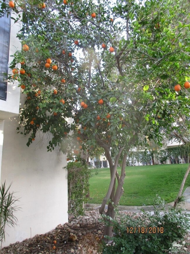 Building Photo - 48728 Desert Flower Dr
