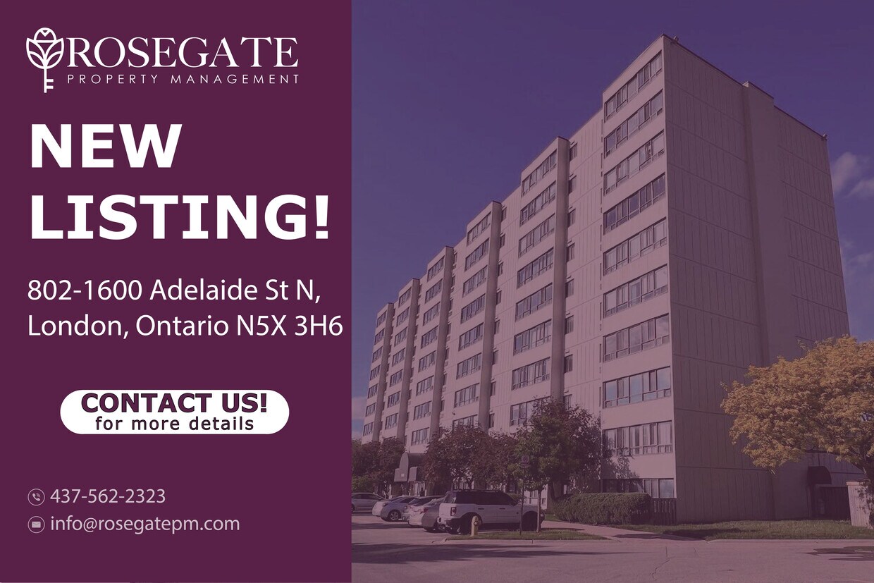 Primary Photo - Spacious 2 Bed 1 Bath Apartment in Prime N...