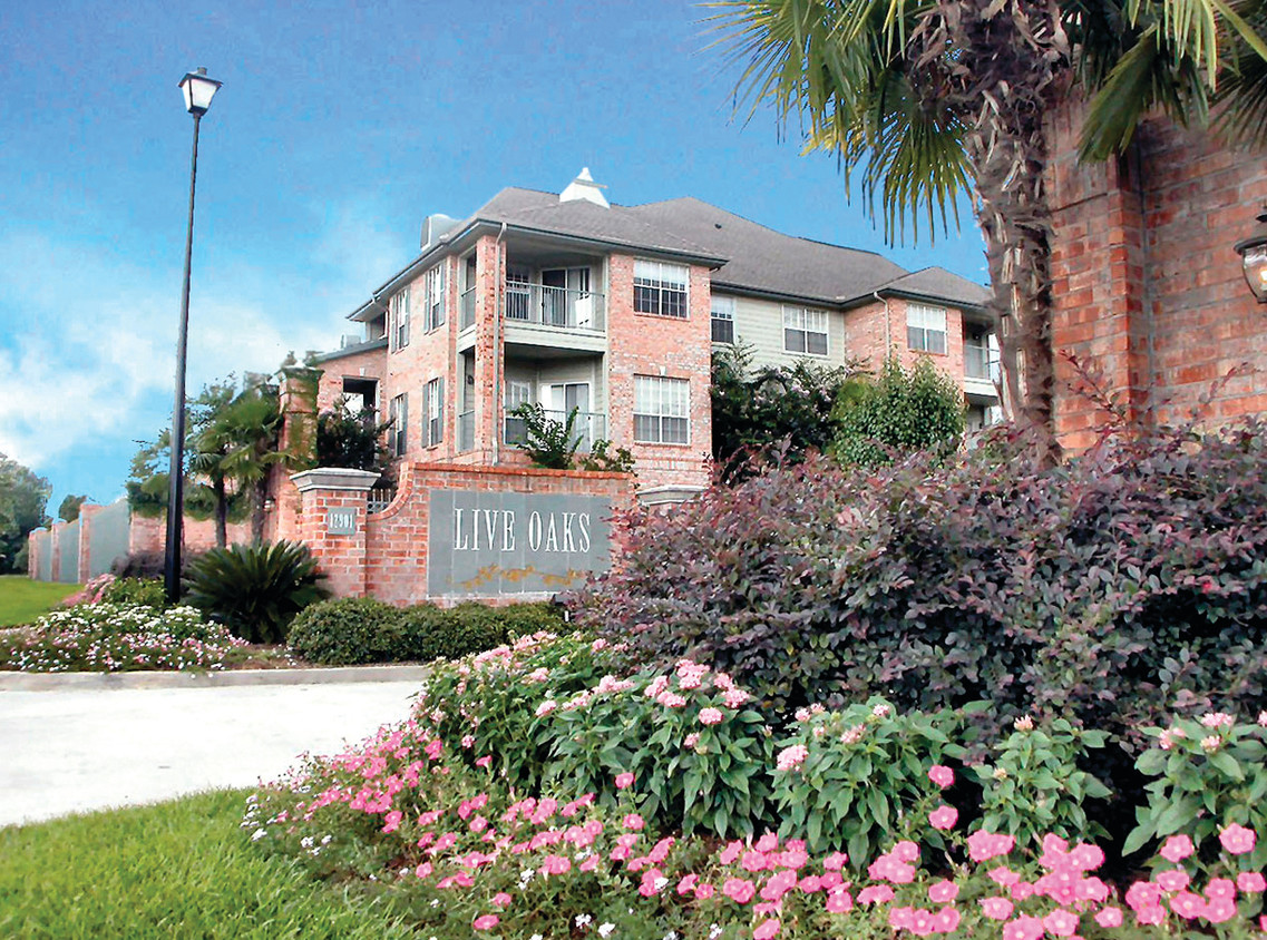 Primary Photo - Live Oaks Apartments