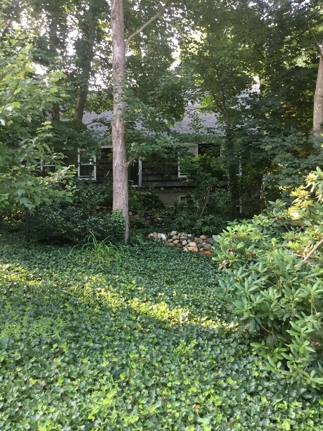 Primary Photo - 31 Triangle Dr