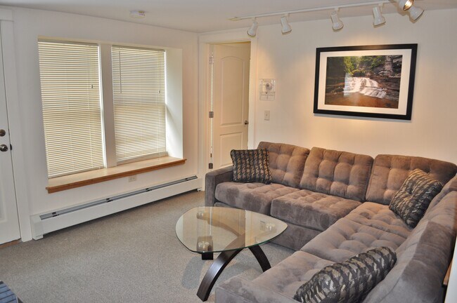 Foto del edificio - 203 Williams St