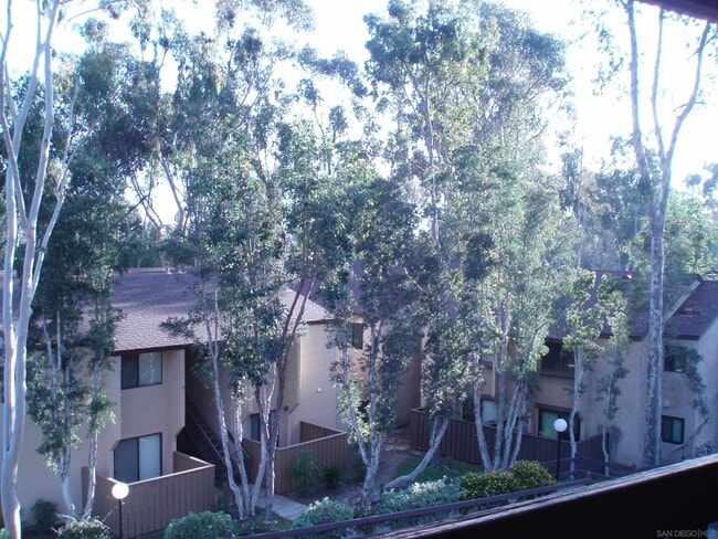 Building Photo - 10332 Caminito Aralia