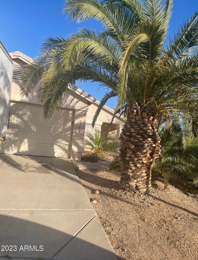 3505 W Via Del Sol Dr, Glendale, AZ 85310 House Rental in Glendale