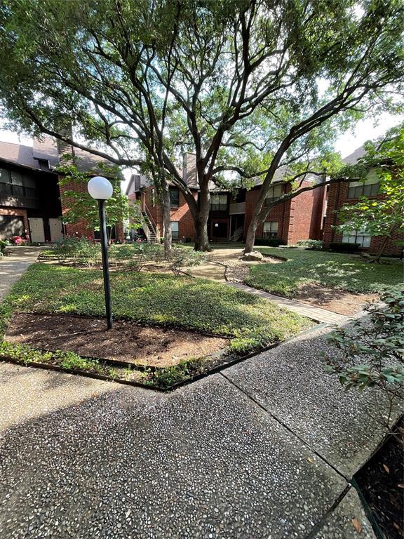 Foto del edificio - 3100 Walnut Bend Ln
