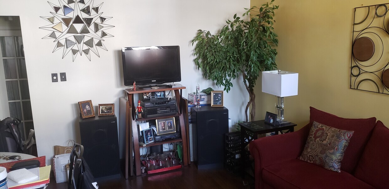 Entertainment center - 42 Hutton St