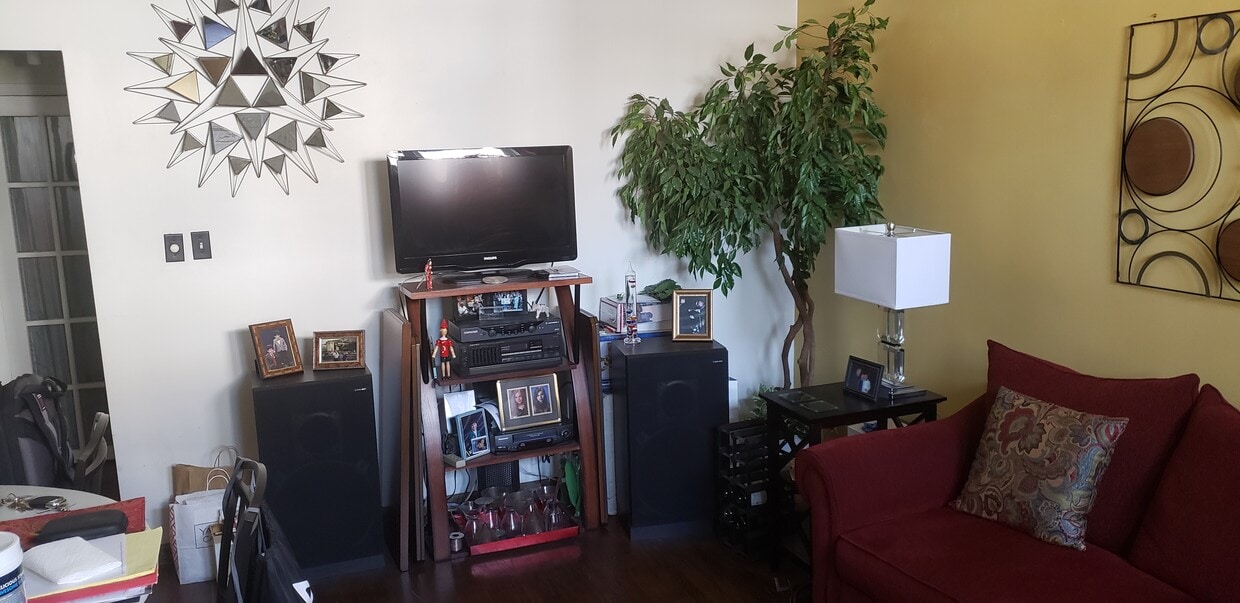 Entertainment center - 42 Hutton St