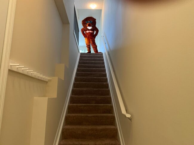 Foto del edificio - 2005 Mariposa Vista Ln