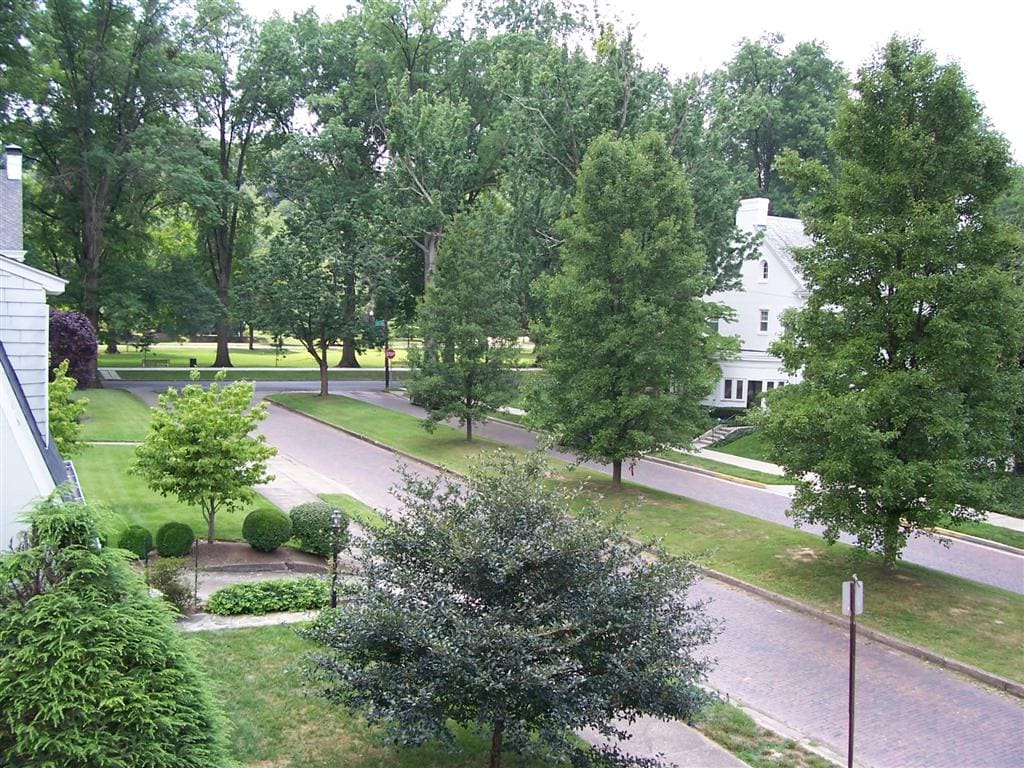 1208 11th St Unit 3, Huntington, WV 25701 Apartments in Huntington