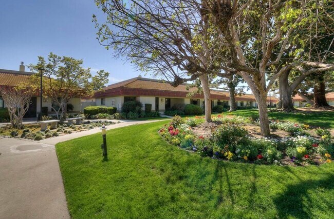 Foto del edificio - 4908 N Sequoia Dr