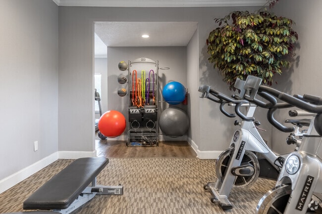 Fitness Center - Vue on Medlock