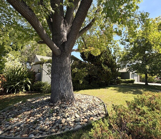 Foto del edificio - Charming 3BR/2BA Home in West Menlo Park