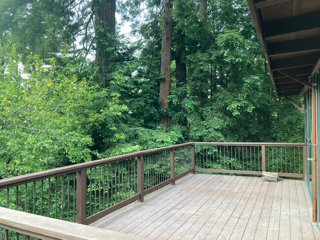 Deck_right View - 339 Hazel Ave