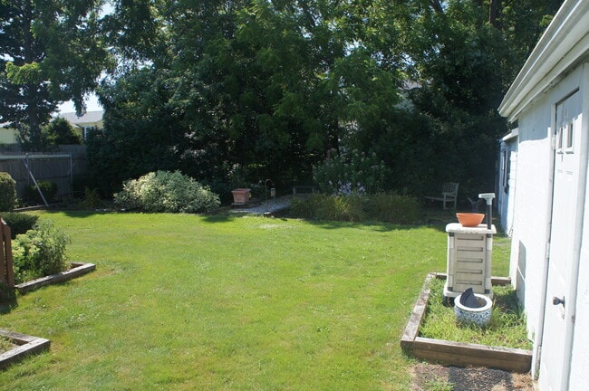 Backyard - 8 Halsey Ave