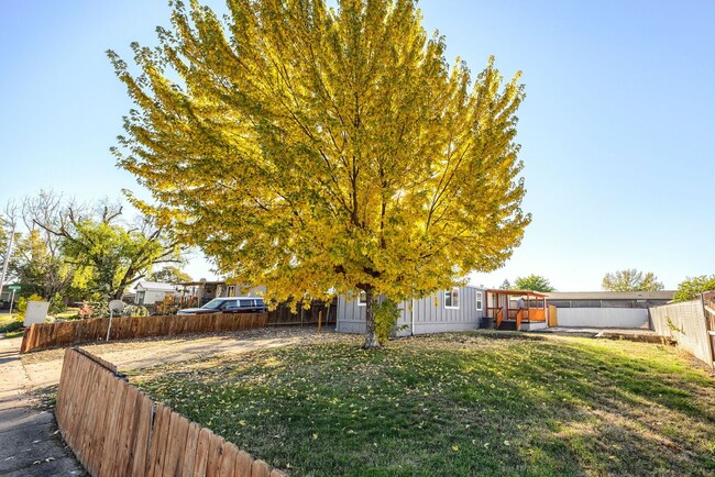 Foto del edificio - Cozy Home and Beautiful Spacious Yard