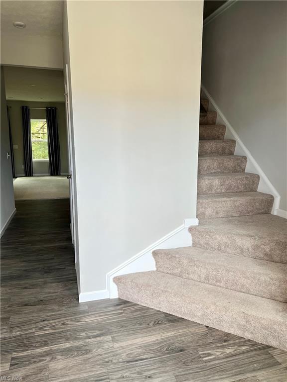 Foto del edificio - 1207 Meadow Run