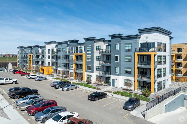 Building Photo - The Level at Seton Circle