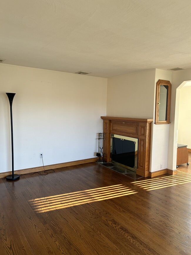 Living room with fireplace - 197 Carter Ln House
