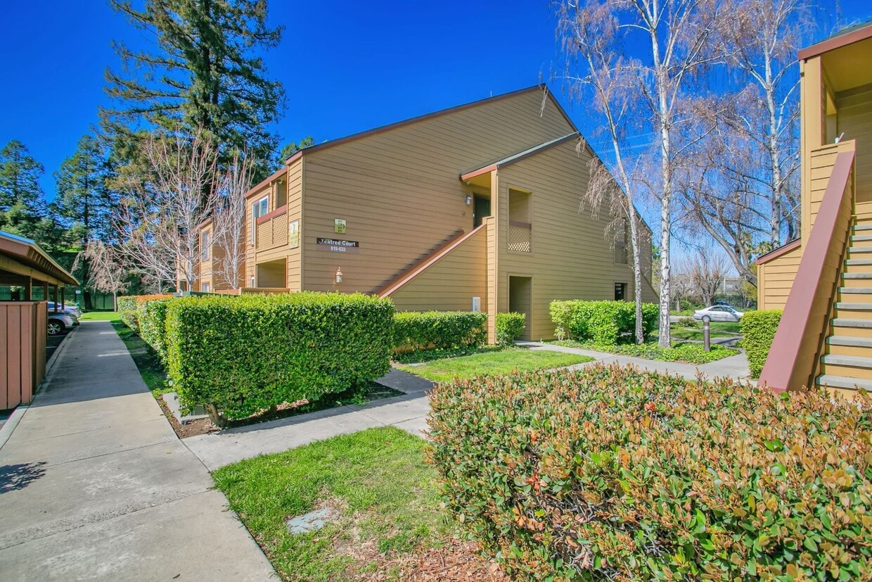 Foto principal - 2 Bedroom, 2 Baths Condo in Serra Crest Co...