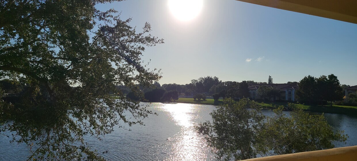Foto principal - 1030 Villagio Cir
