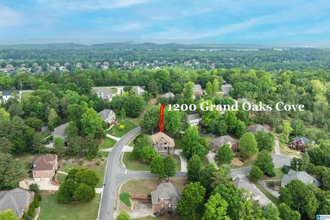 Building Photo - 1200 Grand Oaks Cove