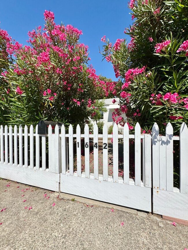 Foto del edificio - Available For 4+ Months!* Rare Find Furnished Saint Helena Gem, “Upper Tainter” 2 Bedrooms, 2 Bat...